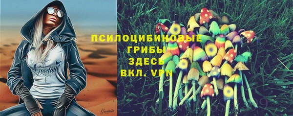 прущий лед Нея