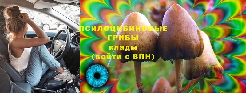 Псилоцибиновые грибы MAGIC MUSHROOMS  Поворино 